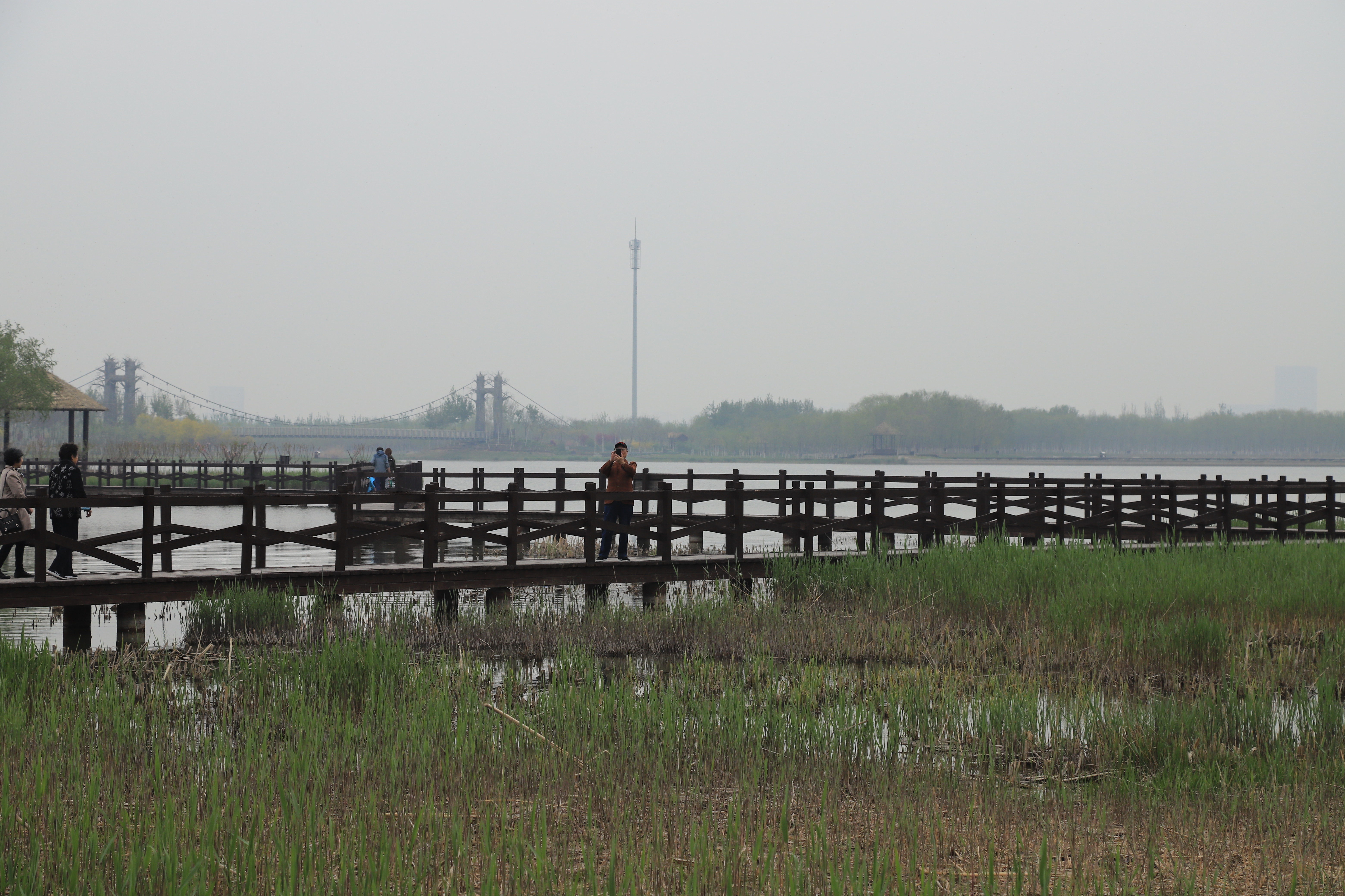 新奇好玩的公园,西青郊野公园开放最新通知