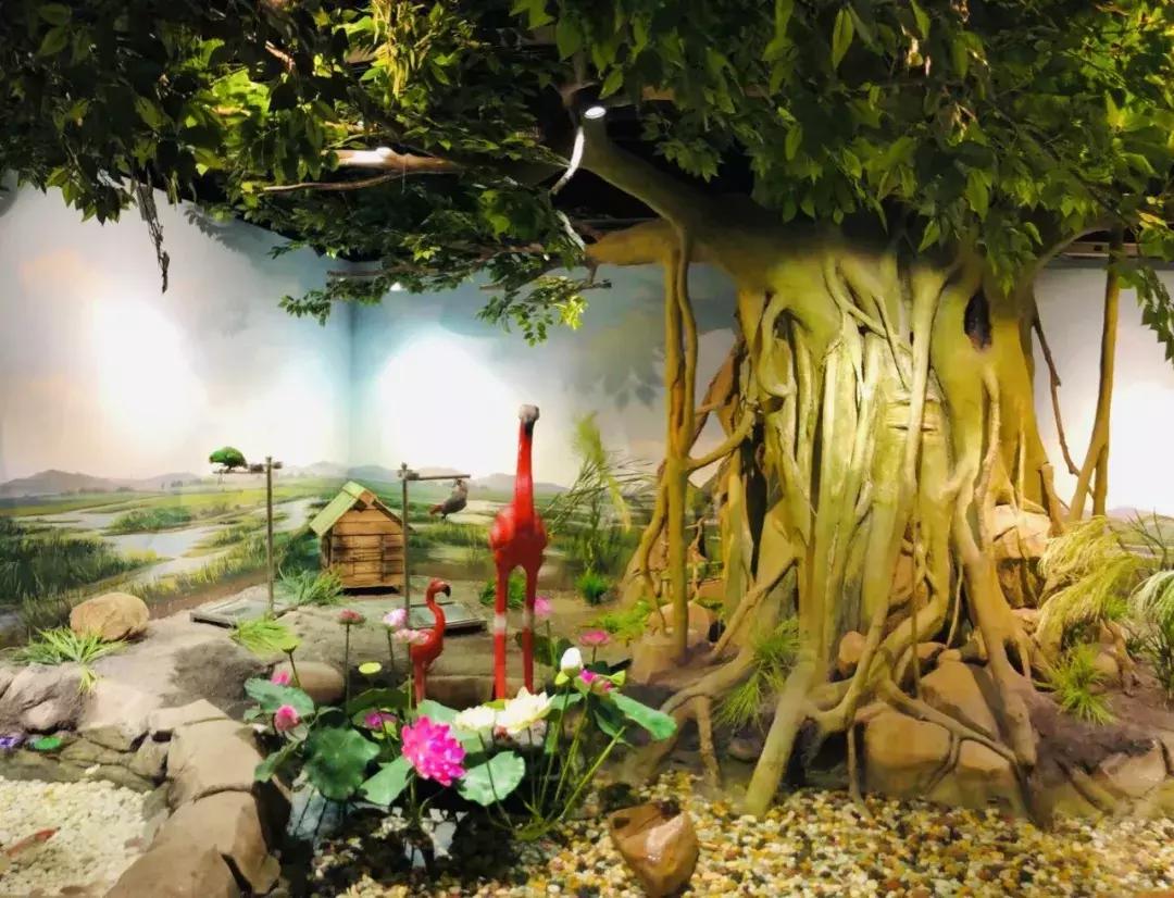 郑州奥林匹克公园萌宠乐园,郑州萌宠乐园长什么样子