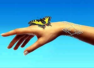 摘除多数内脏仍能活：你不知道人体的十个秘密