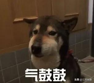 江苏南京：花两万多找人代购，几个月都没收到货