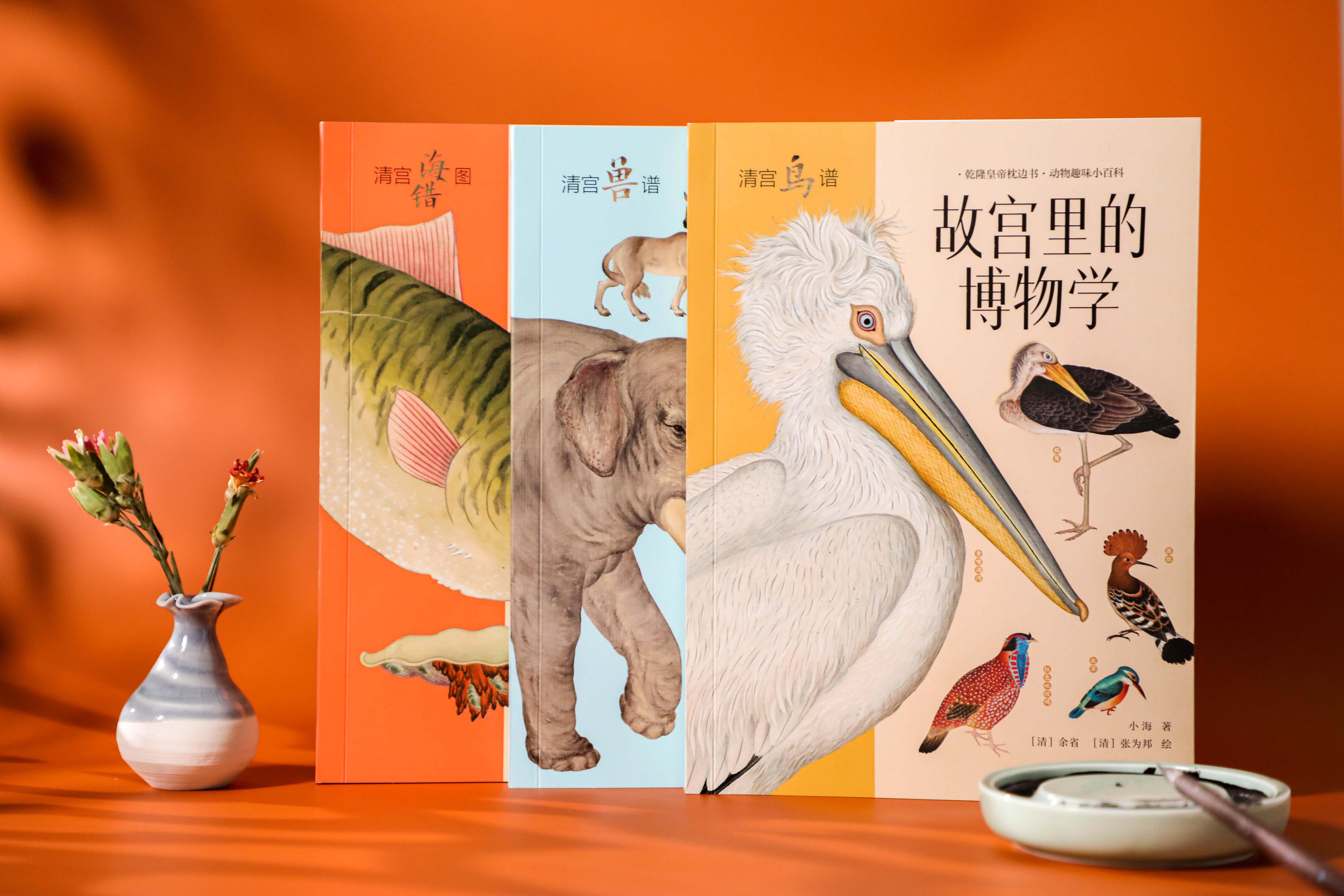 小学生发现11枚恐龙蛋化石,十岁男孩发现恐龙蛋化石