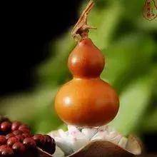 葫芦怎么玩啊,第一次玩葫芦视频