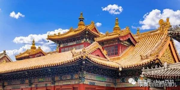 京巴狗与西藏狗,京巴犬和西班牙獒