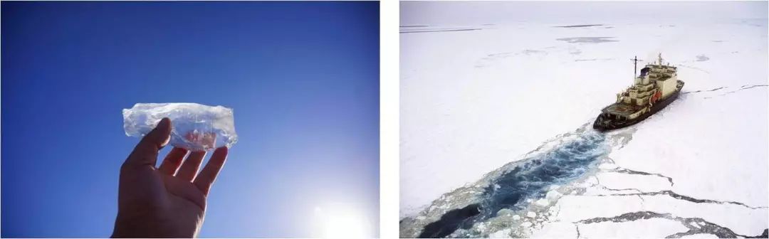 阿尔茨海默病寿命都超不过10年,百年阿尔茨海默病