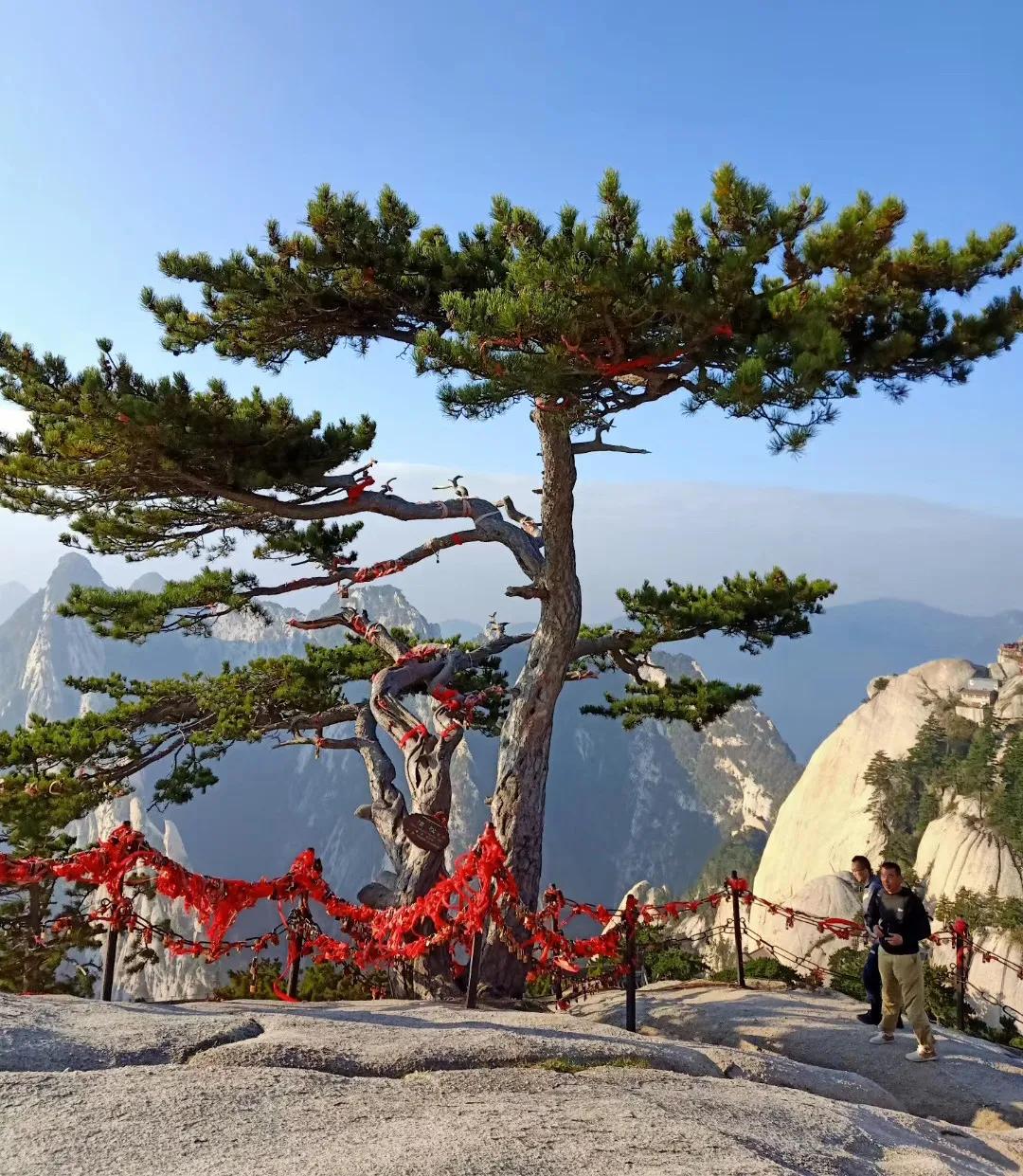 华山景区预约攻略图文解说,华山旅游攻略春季景点免费预约