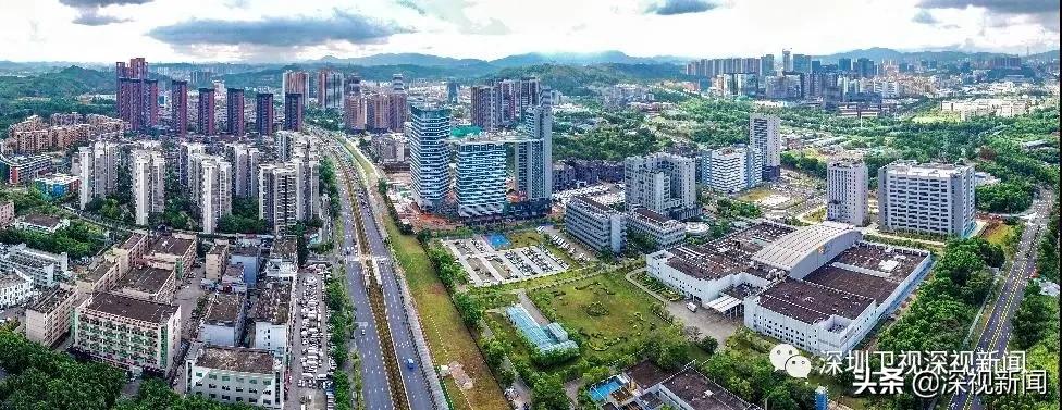 续写春天的故事,续写春天里的故事系列访谈