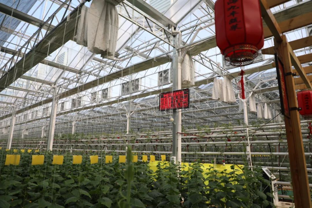 乐高乐园金山区,金山乐高乐园地理位置