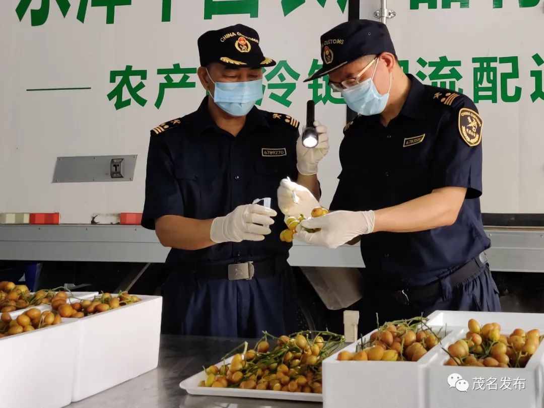 茂名市前二季度gdp2021,茂名市各季度gdp增长情况
