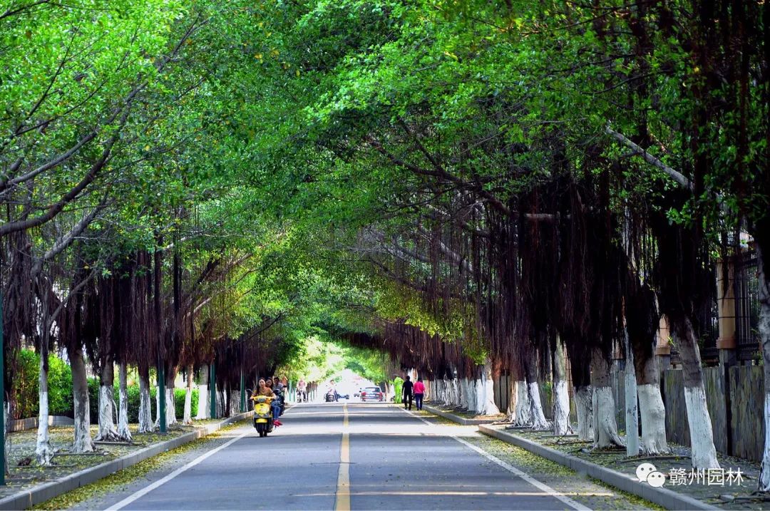 寻找最美公路,寻找最美风景的路上