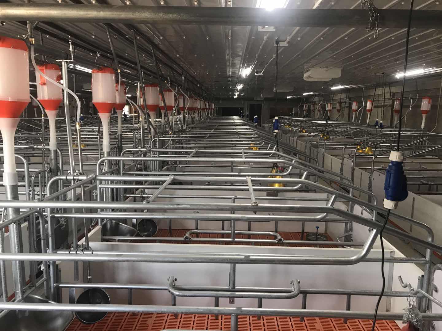 南商农科是什么,规模化养猪技术大全