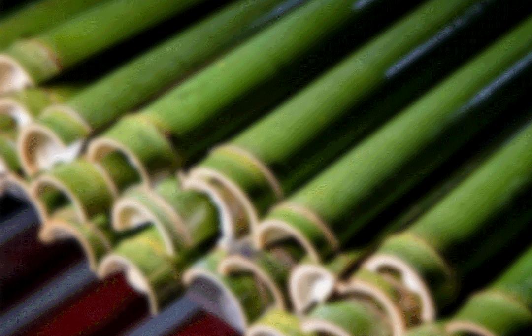 蒸鱼用竹筷子架上放盘子,用竹筒蒸的饭叫什么