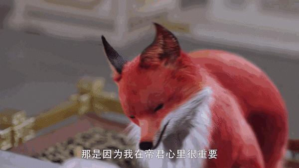 从5.8到6.4口碑真香!《三生三世枕上书》到底魔性在哪儿?