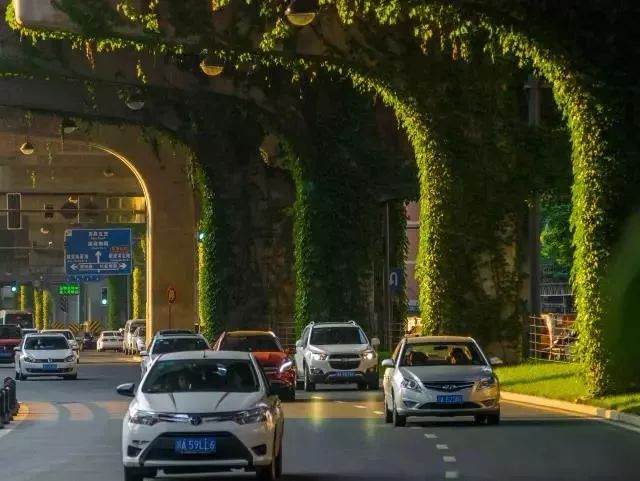 成都二环绿化,成都二环绿植视频