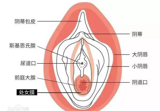 什么是处女膜修复术？
