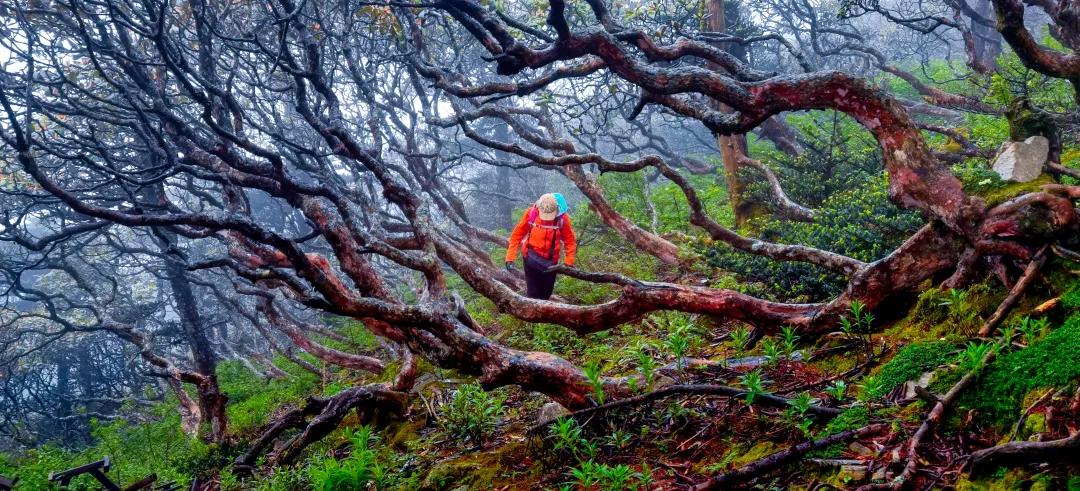 2023平遥国际摄影节获奖摄影作品,2009大理摄影展获奖作品