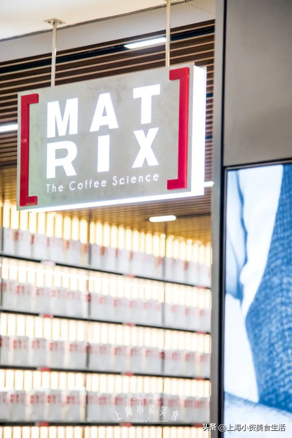 顾村公园一年一度赏樱,顾村公园赏樱点