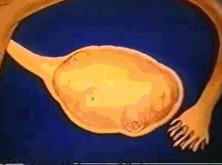 女性体内的神秘“暗线”：竟能支配月经