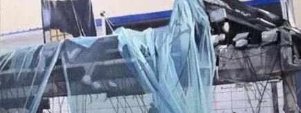 特别专题丨封闭期的艺术家们（五）