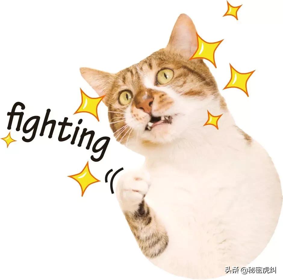 狂欢倒计时重磅秒杀价,狂欢购物季倒计时