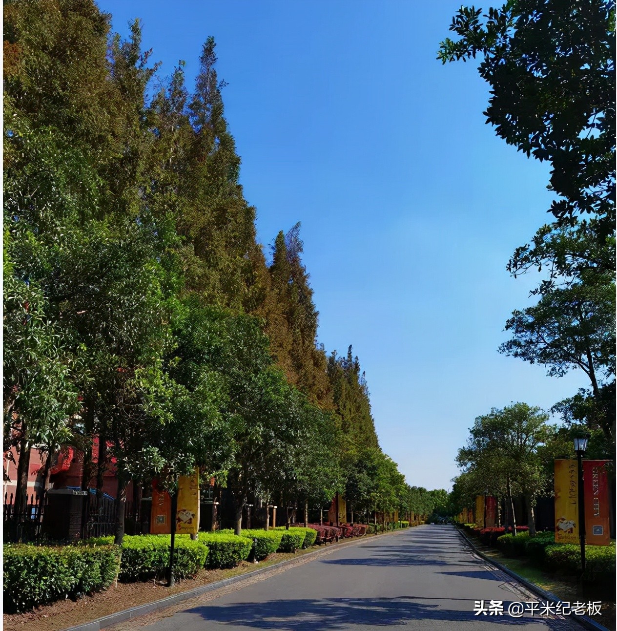 建平西校对比进才,建平实验和上实东校哪个好