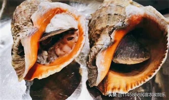 北戴河喻静宾馆,北戴河刘庄云栖民宿