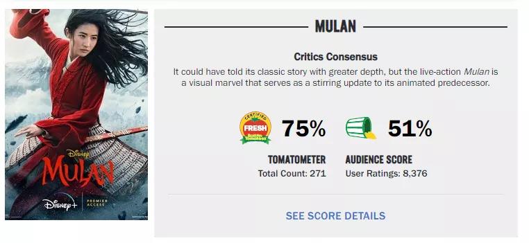 花木兰谁说女子不如男伴奏,评价花木兰的词语