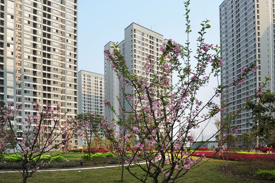 重庆公租房各个区域摇号几率,百里挑一巫溪