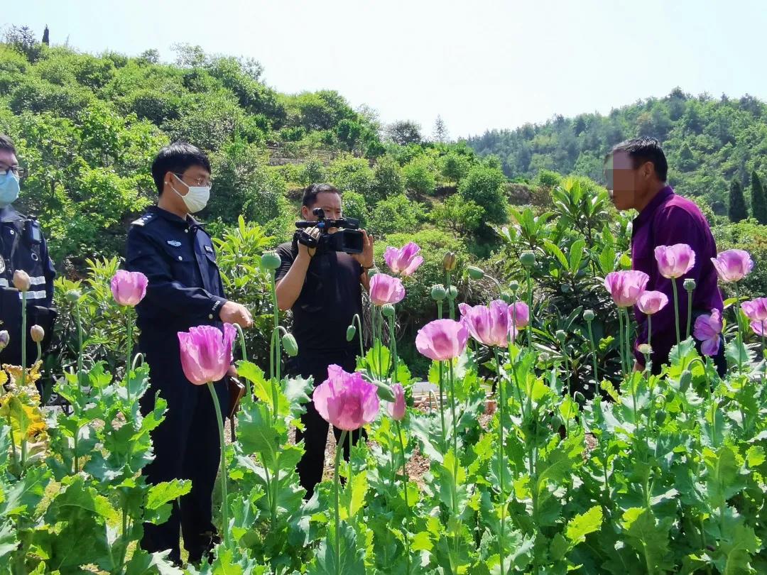 山水相依，警务相融——衢江公安以“山水”文化谱写“融警务”建设新篇章