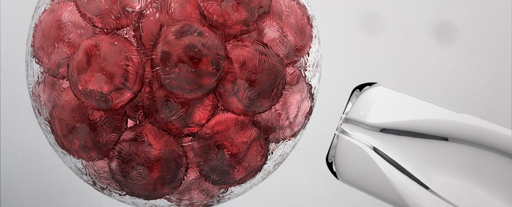 最顶级的食物竟然是蟑螂,蟑螂奶营养价值比牛奶高吗