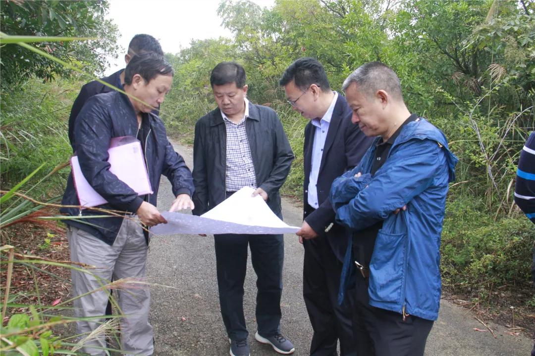 投票活动第一名是谁,投票前五名有谁