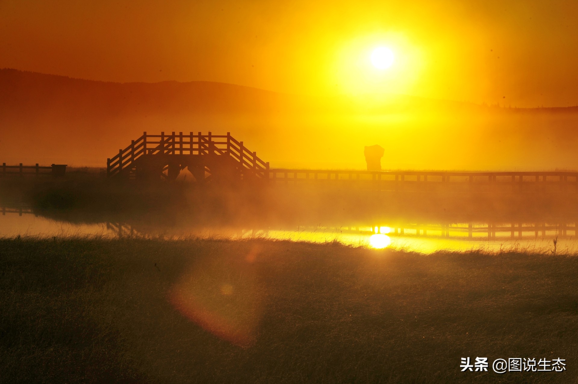 塞罕坝国家森林公园门票价格,塞罕坝2022年收门票吗