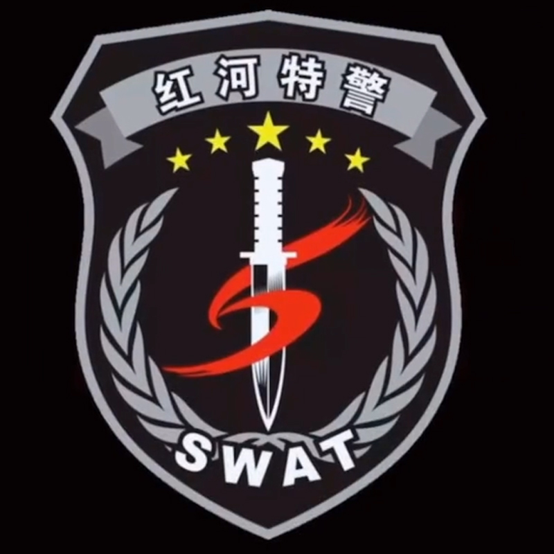 全国各个城市特警队臂章,公安特警帅图