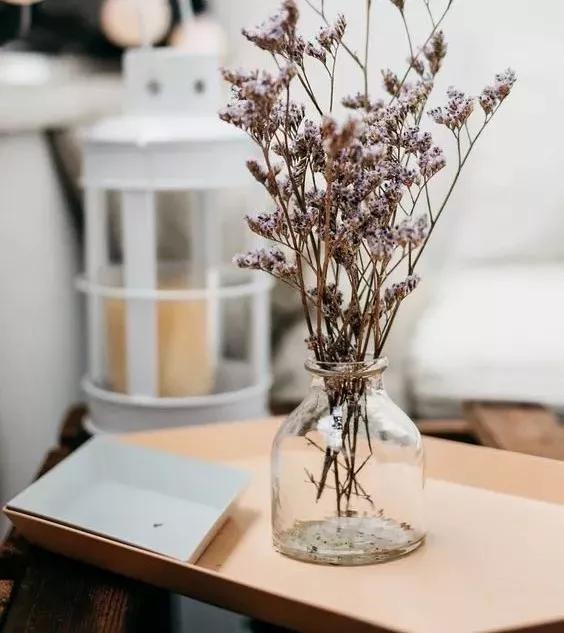 她用这种高颜值的干花装饰家里,隔壁邻居都惊叹不已
