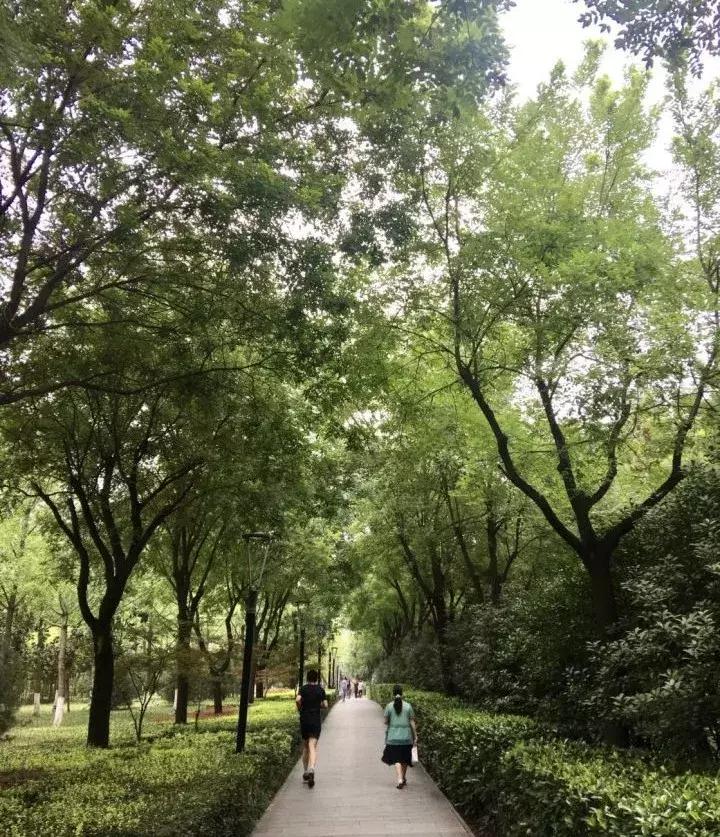 这座城最适合跑步的十大去处