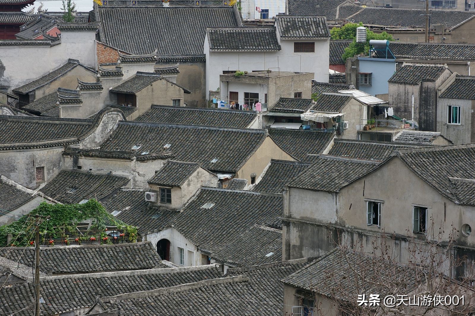 涓浗娓旀潙鐭虫郸鑰佽,瀹佹尝鐭虫郸涓浗娓旀潙