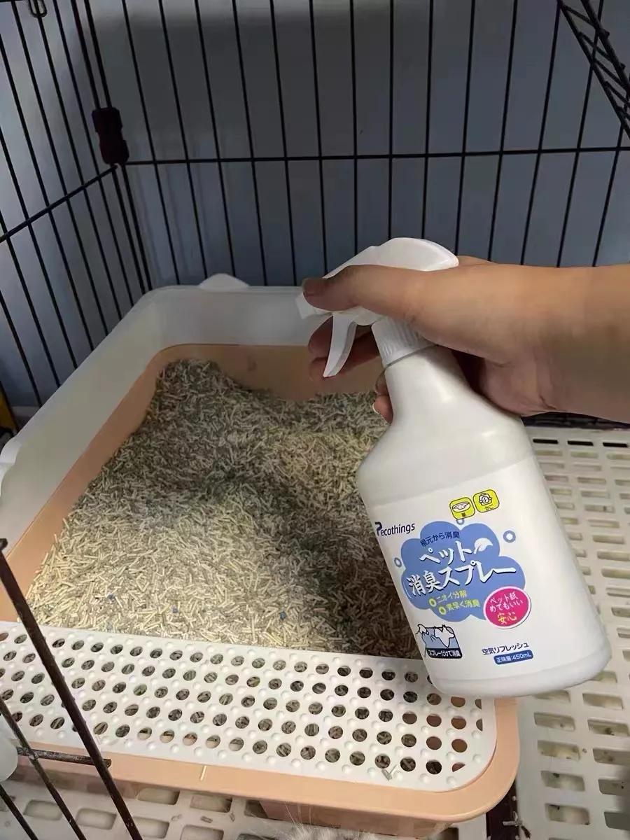 有宠一族必看：啥家庭条件呀，好几万的沙发随便毁？