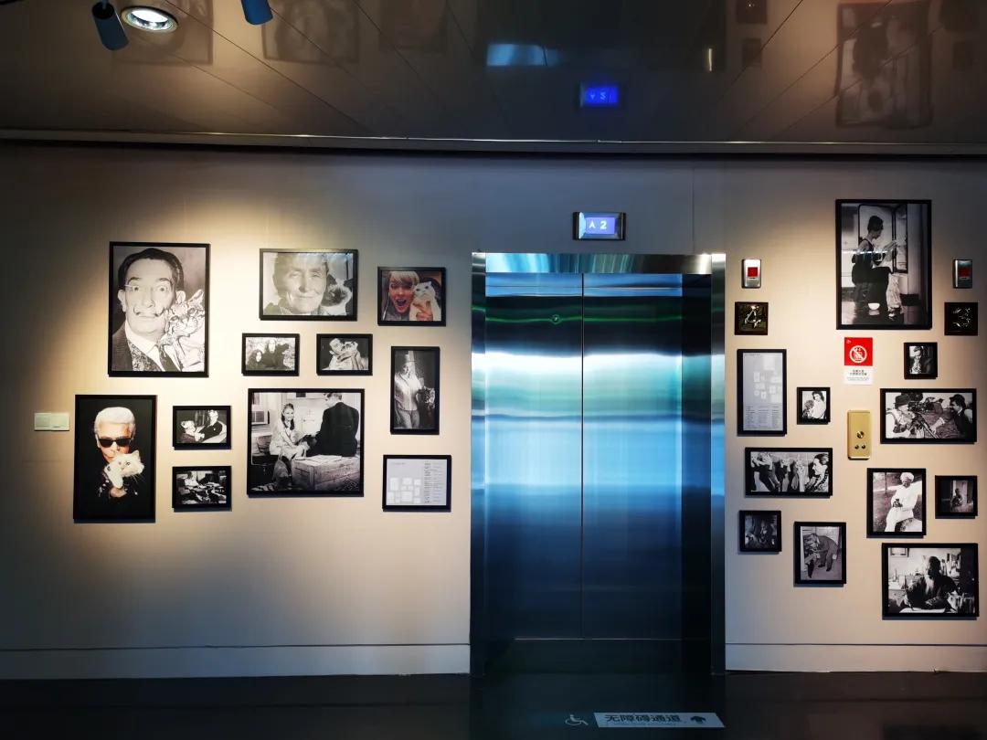 天津天塔内部长什么样,天津天塔柱子里有什么