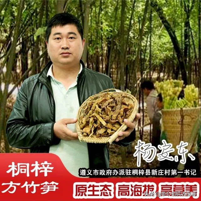 贵州省桐梓县马鬃乡竹笋,桐梓新鲜方竹笋基地