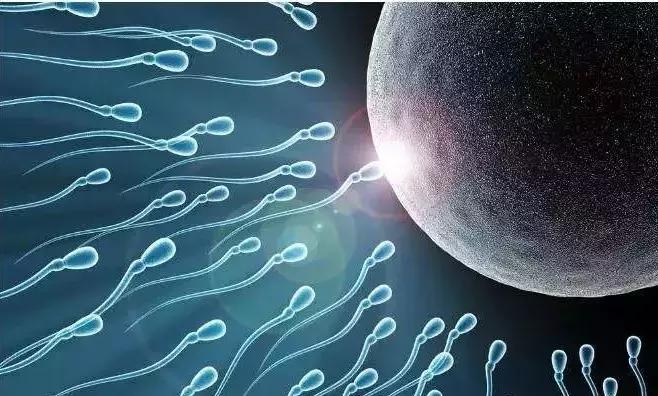 细菌影响基因发展吗,细菌的影响