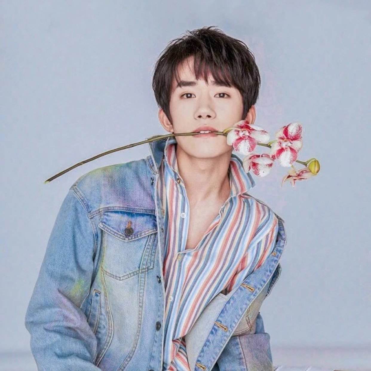 移动互联网时代的偶像工业，偶像的重新发明与粉丝身份的虚拟转向