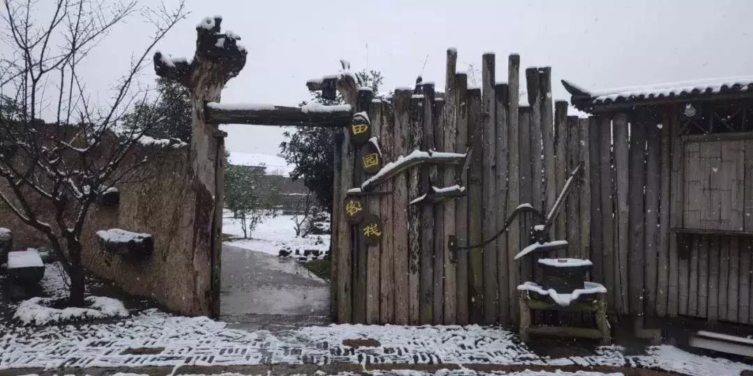 200亩，游客年超30万，这个用枯树建成的农庄牛在哪？