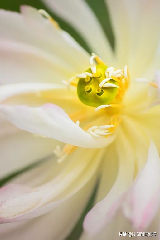 相机微距滑轨,微距镜头滑轨