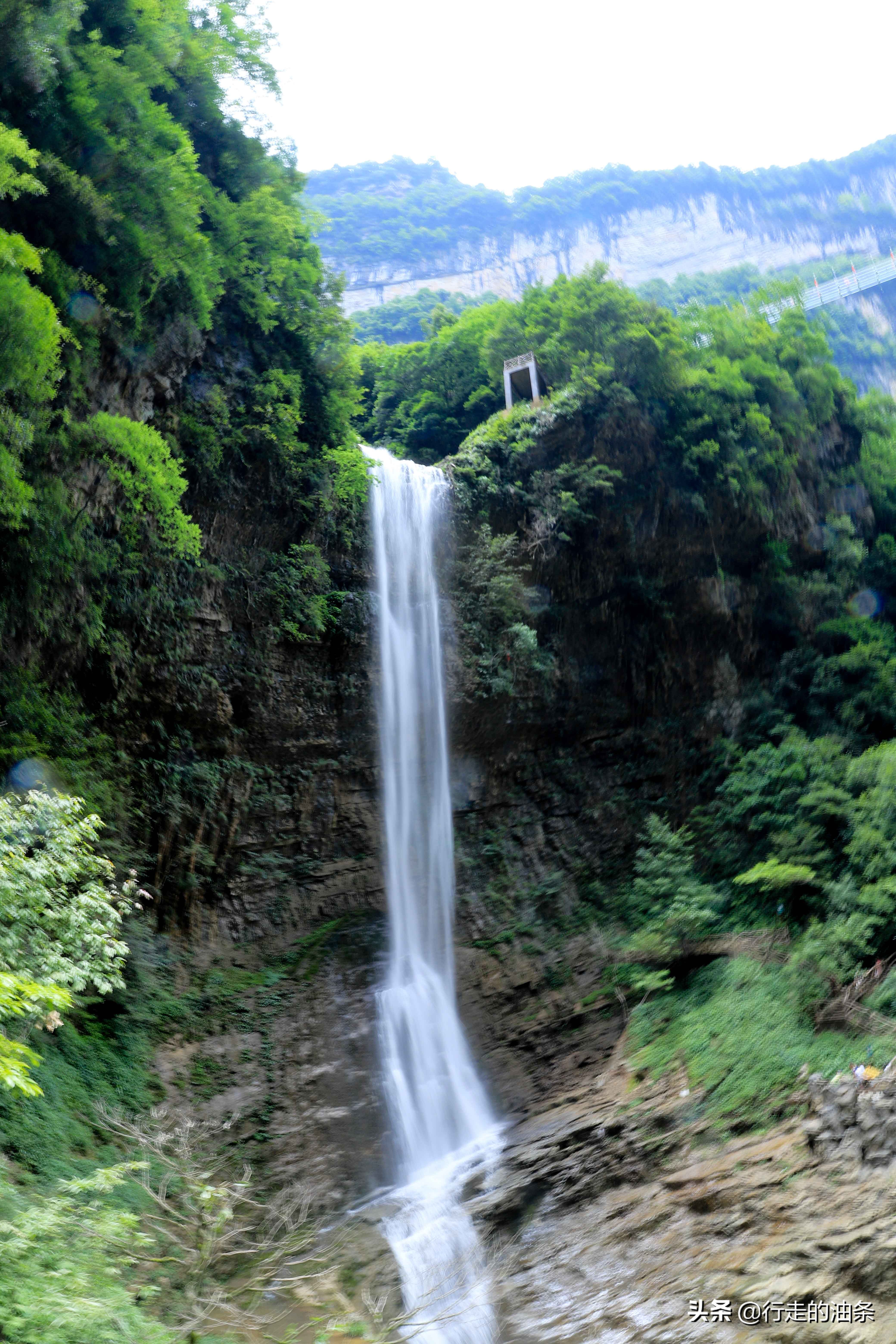 三峡竹海秭归,秭归三峡竹海