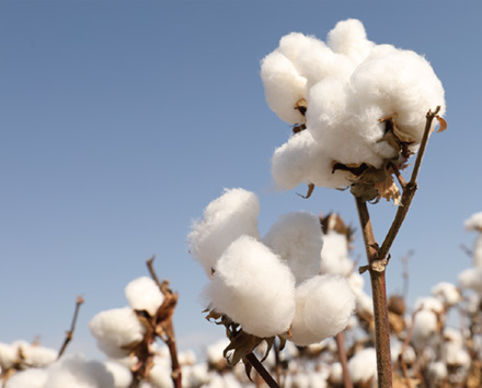 宝宝洗脸巾柔软亲肤全棉时代,亲肤洁面洗脸巾全棉时代