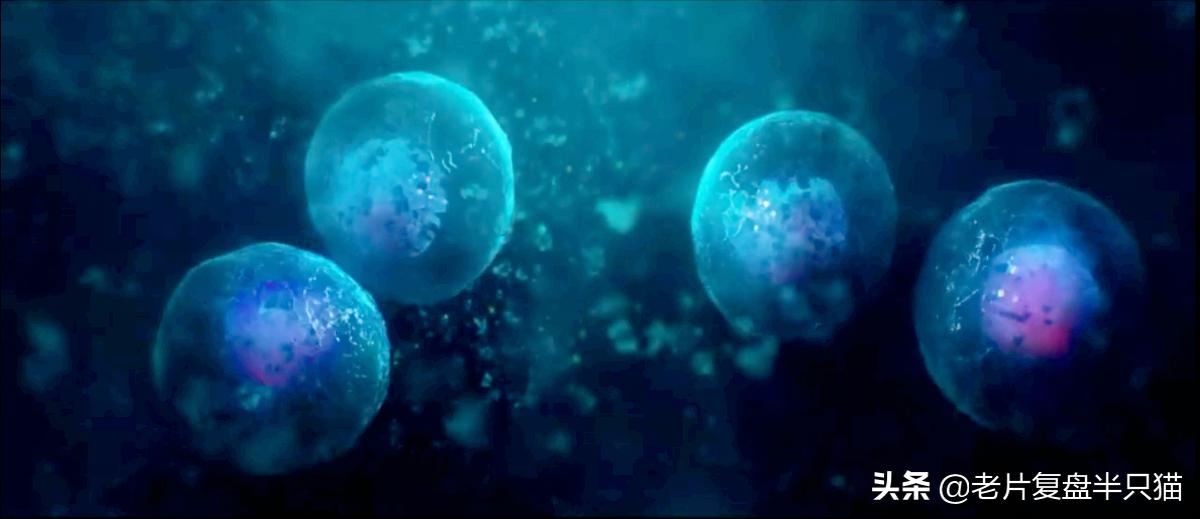 超体跟寡姐有关系吗,超体是寡姐演的吗