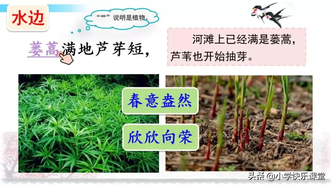 寒假预习部编版本1-3年级,寒假预习课文二年级下