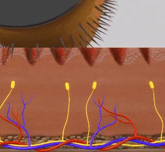 避孕药真的百分百有效吗,避孕药真的有效吗