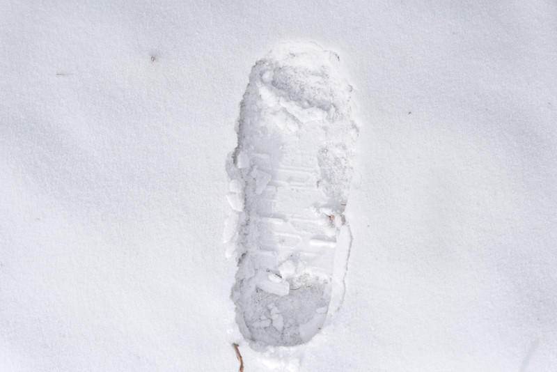 冰雪总动员简介,冰雪总动员