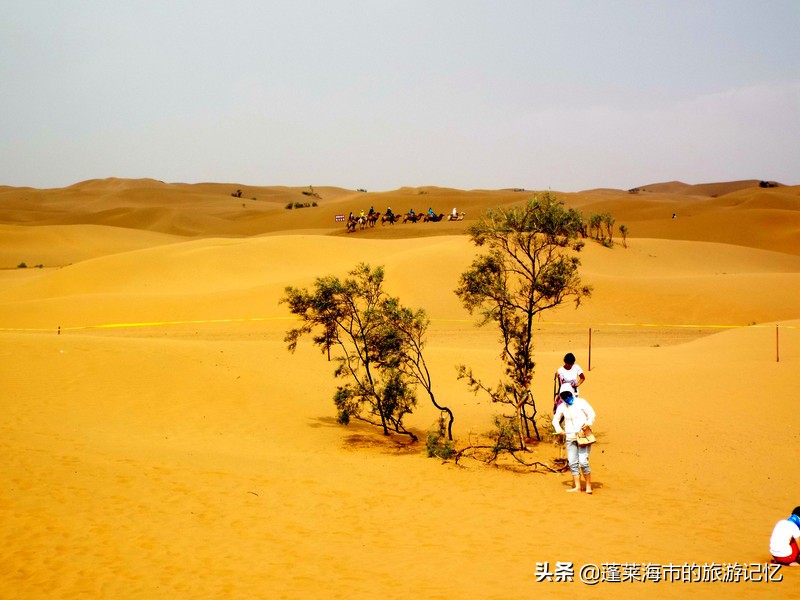 宁夏沙坡头旅游攻略,宁夏沙坡头游记