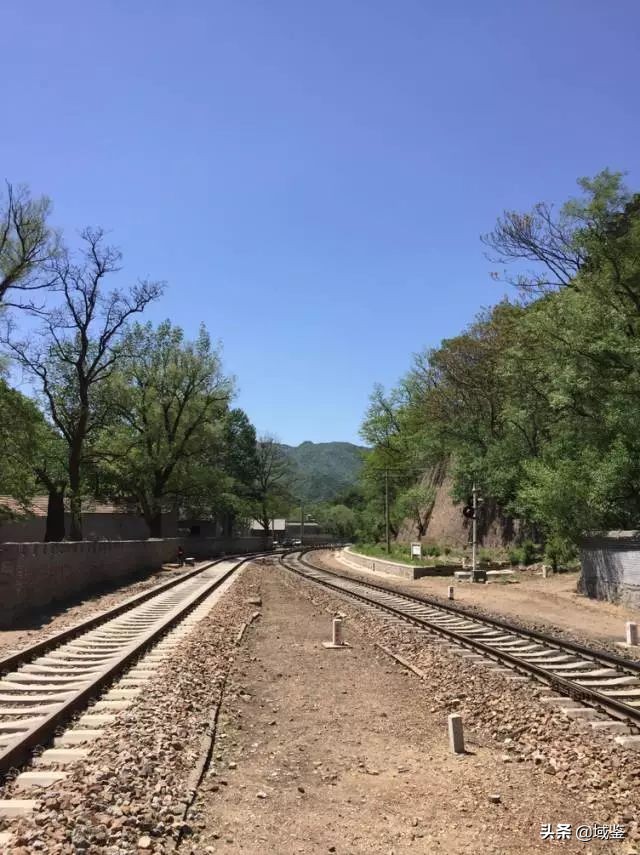 你可能从没意识到，原来这些东西也是*物文**